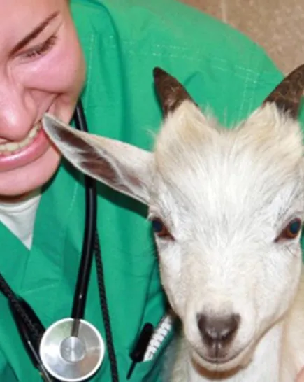 A smiling woman in green scrubs with a stethoscope around her neck, bends over with her arms around a small, white goat with wide, long ears and short black horns next to a cinderblock wall.