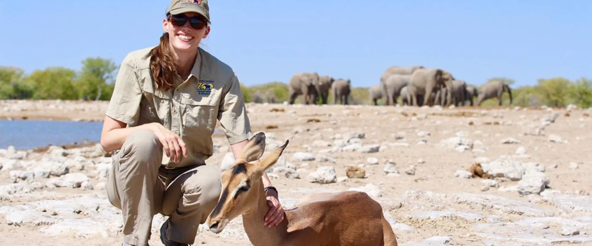 Vets in the Field: Making Translocation Safer for Impala in Namibia