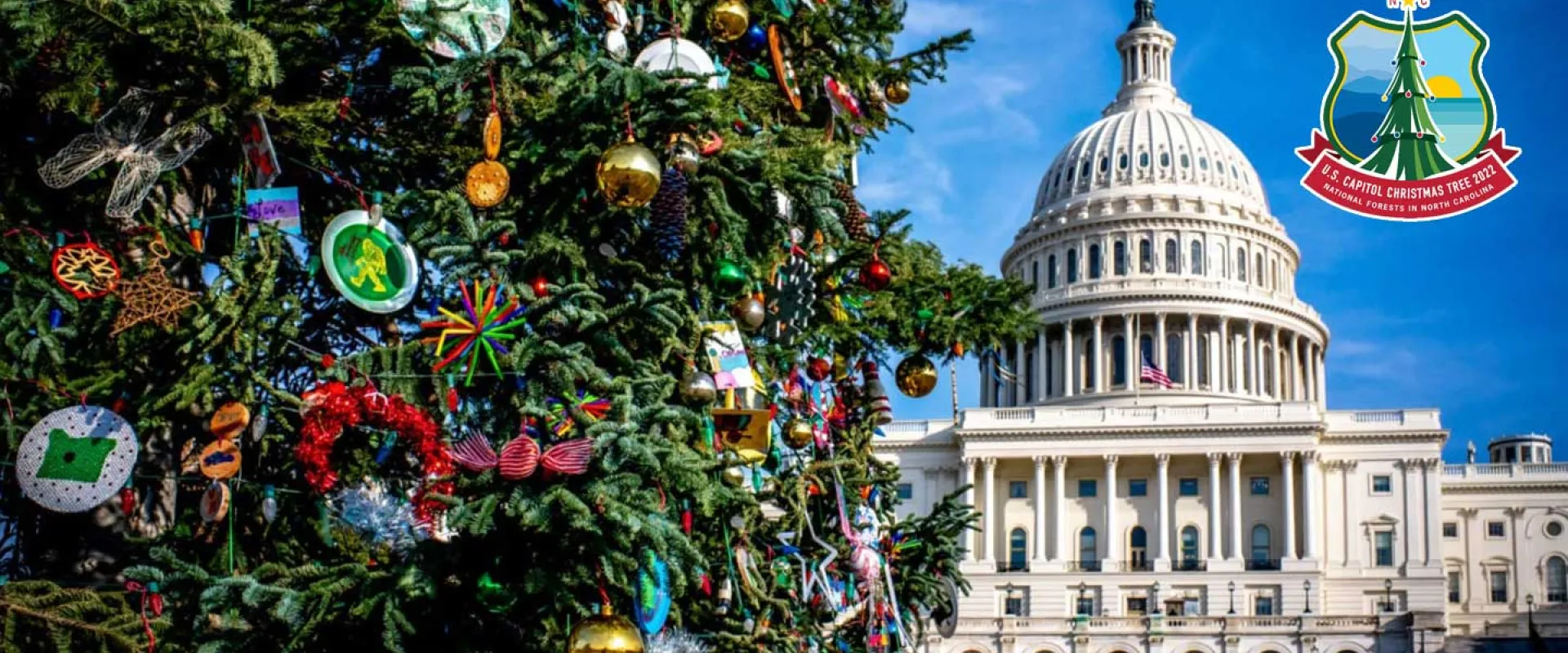 U.S. Capitol Christmas Tree to Visit North Carolina Zoo During 2022 Tour