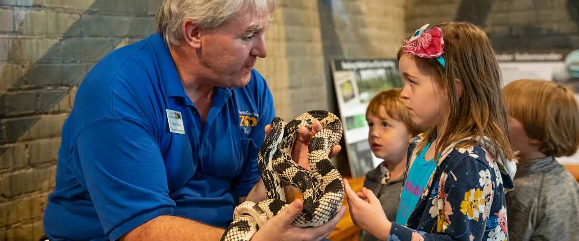 An older man in denim shorts and a blue collared shirt with a NC Zoo logo on it, sits on a bench, holding a tan and brown patterned snake in his hands. A small girl in a flowered dress stands in front of him, reaching out to pet the snake. Two smaller children stand in a line behind her.