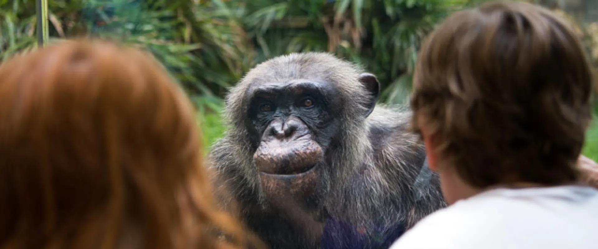 The North Carolina Zoo Announces Changes in Operations Starting July 1