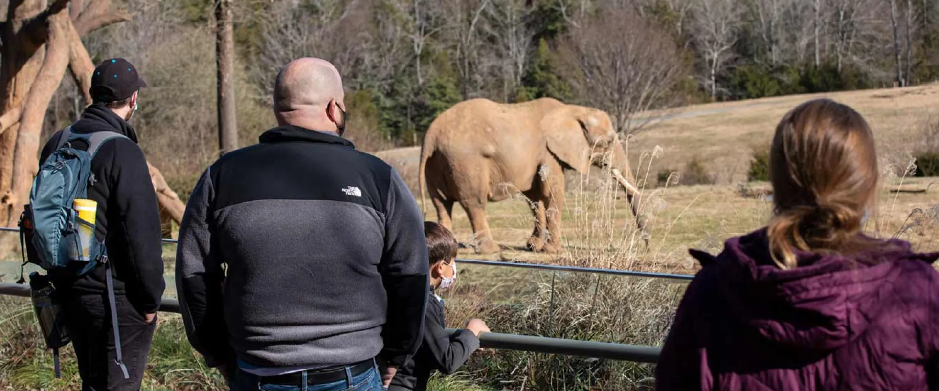 Making the Most of a Winter Visit at the Zoo