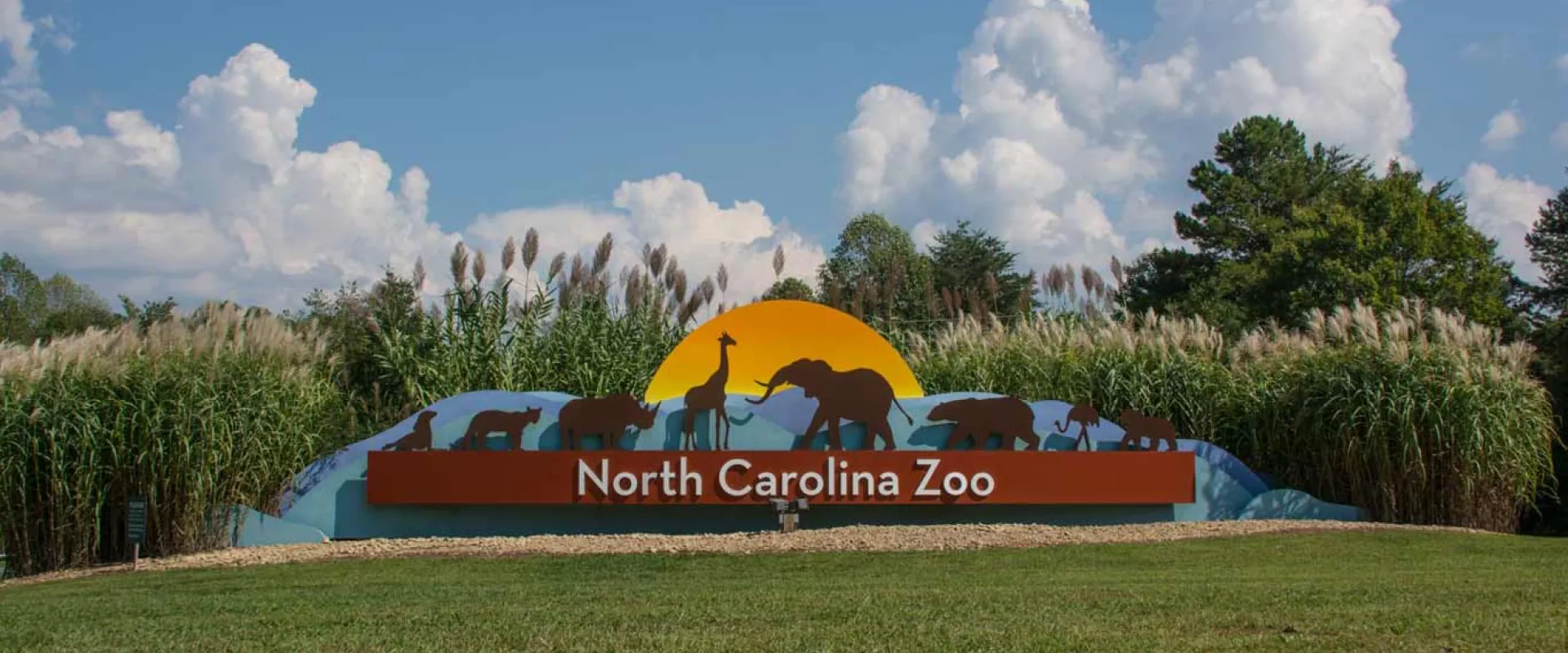 The North Carolina Zoo is Certified Sensory Inclusive Through KultureCity 