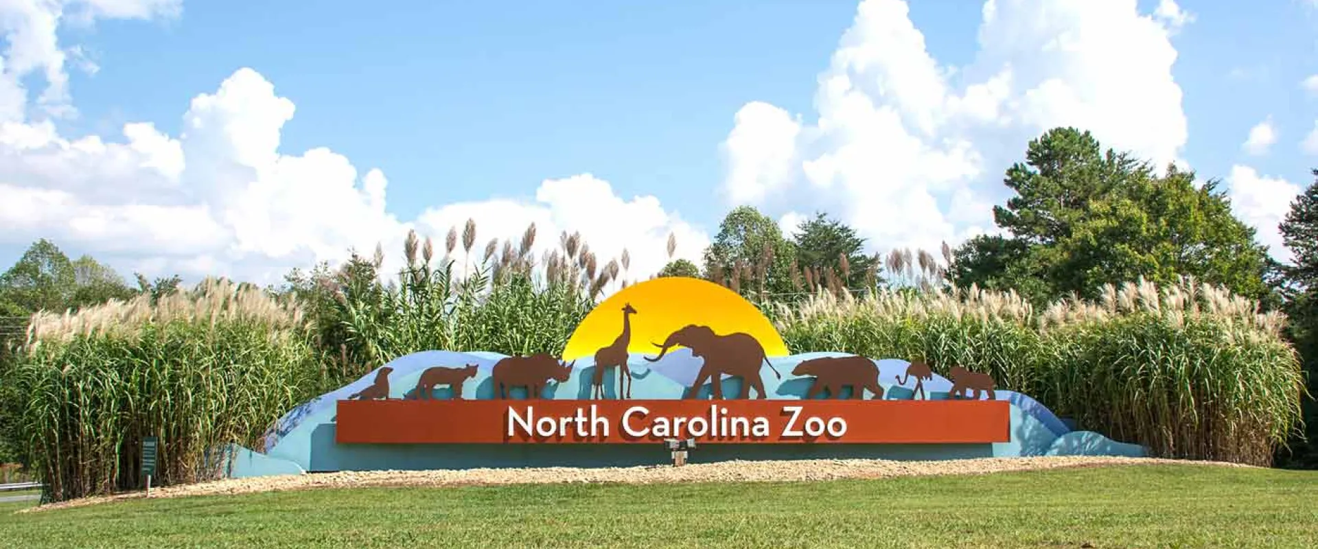 The entrance sign for the North Carolina Zoo is visible, featuring a large, curved sign with "North Carolina Zoo" written across it. Above the text, silhouettes of various animals (including an elephant, giraffe, and bears) are depicted against a yellow sunrise. The sign is set into a grassy mound surrounded by tall reeds and trees under a partly cloudy blue sky.