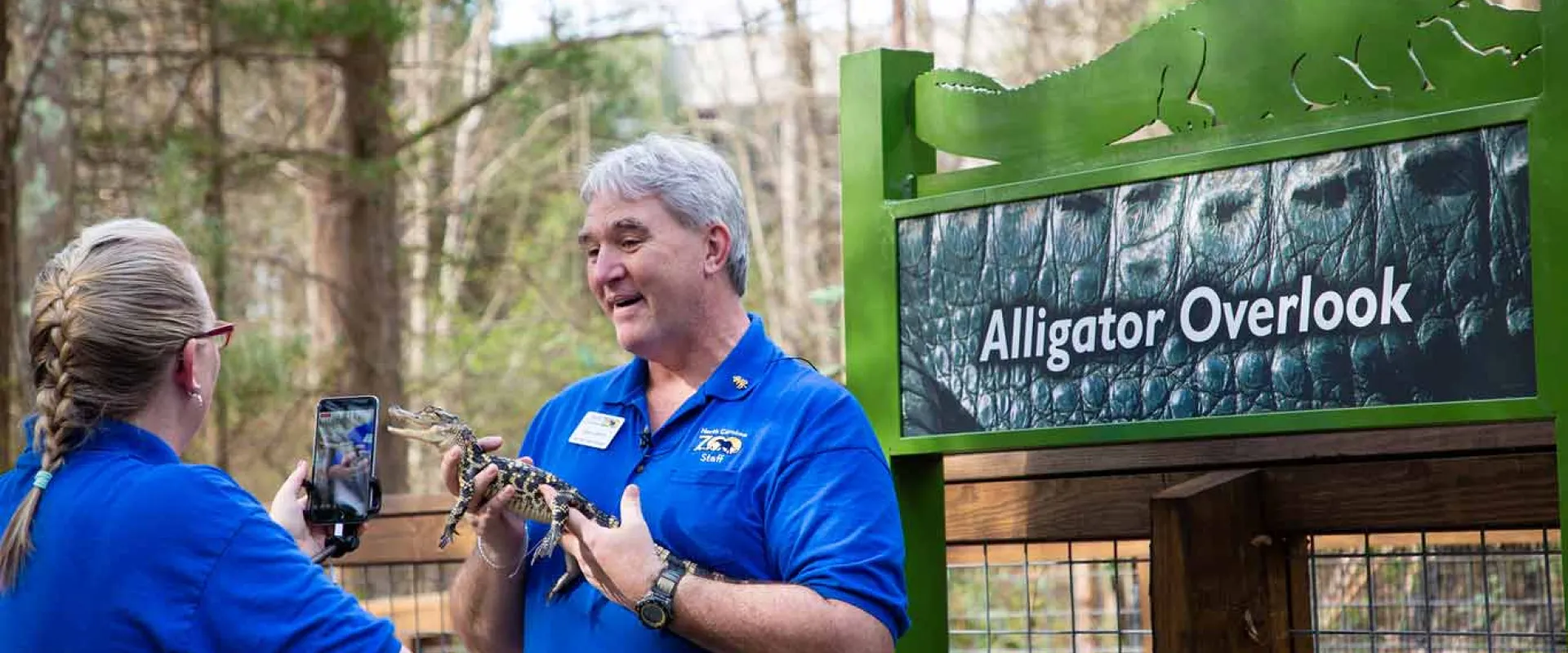 A woman with a blonde braid and blue shirt stands holding and a cellphone facing and seemingly recording an older man in a blue shirt that is holding a small, brown and tan baby Alligator. They are on a wooden deck in front of a green sign with an image of an Alligator and text that reads "Alligator Overlook".