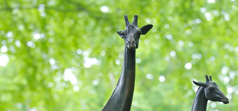 A bronze statue of two Giraffes standing proudly together, looking in different directions. There is a canopy of trees in the background.