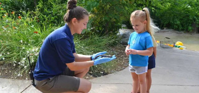 a person wearing a dark blue NC Zoo uniform and blue latex gloves crouches down on a sidewalk and holds a Salamander towards a young girl in a blue shirt. They appear to be explaining something to the child. A well-kept garden is visible in the background.