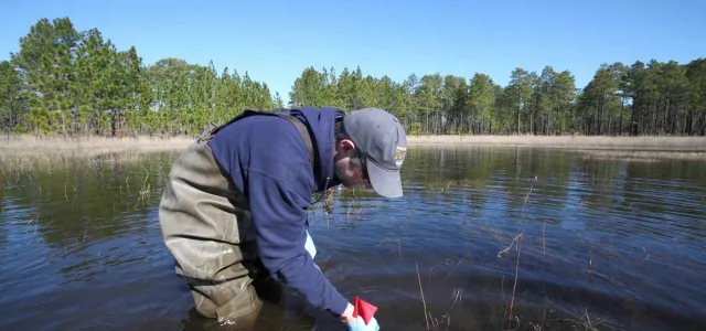 A person wearing a navy sweatshirt and green rubber waders, stands in the middle of a lake lined with trees. They are reaching down towards the water with blue latex gloves and a small container in their hands.