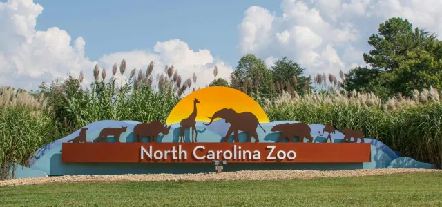 The entrance sign for the North Carolina Zoo is visible, featuring a large, curved sign with "North Carolina Zoo" written across it. Above the text, silhouettes of various animals (including an elephant, giraffe, and bears) are depicted against a yellow sunrise. The sign is set into a grassy mound surrounded by tall reeds and trees under a partly cloudy blue sky.