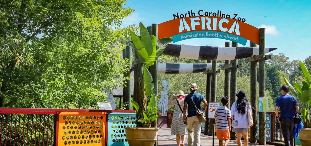 A wooden entrance sign, spanning a walkway, has a black and orange banner that reads "North Carolina Zoo AFRICA" with "Admission Booths Ahead" underneath. The walkway is bordered on the left by a brightly colored decorative fence with yellow, red, and blue panels. Several peopleare walking towards the entrance under the sign. The area is surrounded by lush green trees and tropical-looking plants in a terra cotta planter.