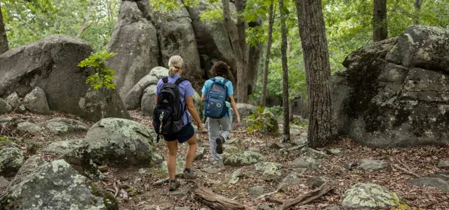 Two adult hikers are seen from behind walking through the woods towards a collection of towering, moss covered boulders.
