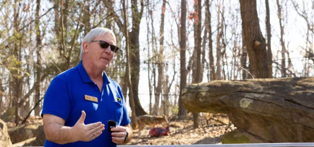 Educator Steve talking on livestream in front of the Red Wolf habitat. An American Red Wolf is in the background feeding on a carcass.
