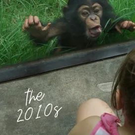 What a time! Check out the North Carolina Zoo in the 2010s … #throwbackthursday
🌱 May 22, 2010 - The new Lemur Island habitat is opened in the former patas monkey habitat. The exhibit opened with six ring-tailed lemurs and two red ruffed lemurs.
🦏 March 2011 - Together with some of the world’s largest conservation organizations, the Zoo helped to develop SMART, a suite of free and open-source software tools that empower rangers in the fight against the illegal wildlife trade. SMART allows rangers to use smartphones to record data in the field, and track their patrols.
🦍 August 4, 2012 - The Zoo experiences it's first gorilla birth since "Kwanza" in 1989. The male gorilla is named "Bomassa" after a town of the same name in the Democratic Republic of the Congo.
🦁 July 30, 2014 - A litter of four lion cubs, two males and two females, are born at the zoo to parents Mekita and Reilly, the first lion cubs born at the zoo since 2006.
✏️ February 2016 - The Zoo embarks on a rebranding initiative which will both provide a new look for the zoo and reemphasize the zoo's mission to conserve wildlife. Part of the rebranding is the adoption of a new logo that features an elephant roaming through grass against a sunrise superimposed onto the word "ZOO."
🥾 May 27, 2016 - The Air Hikes Ropes Course opens in Africa near the Aviary.
🐍 March 2, 2017 - The Zoo acquires a breeding pair of eastern indigo snakes, the largest snakes native to the United States, as part of a cooperative breeding effort to increase the population of this threatened species.
🐺 April 15, 2018 - Five American red wolf pups are born behind-the-scenes in the Zoo's breeding habitat for this critically endangered species.
🐸 August 27, 2019 - In cooperation with the North Carolina Wildlife Resources Commission, the North Carolina Zoo's program completes its fourth successful season of "head-starting" by releasing 325 Carolina gopher frogs into the wild, bringing the total amount of these rare amphibians released to 800.