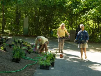 Horticulture volunteers planting