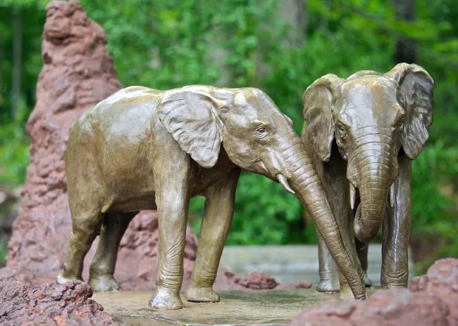 Elephants