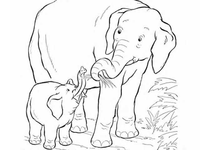 Elephant Pledge