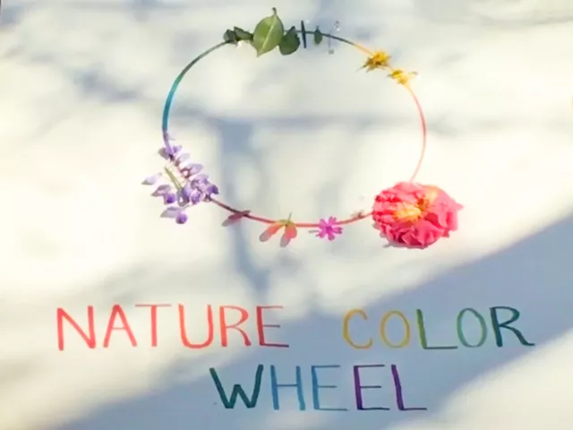 Nature color wheel