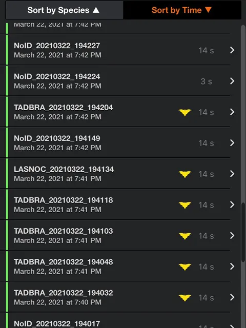 captured bat data