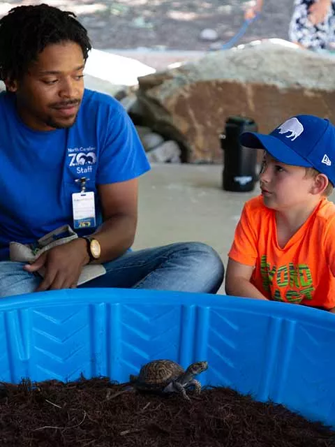 Staff with Child and turtle