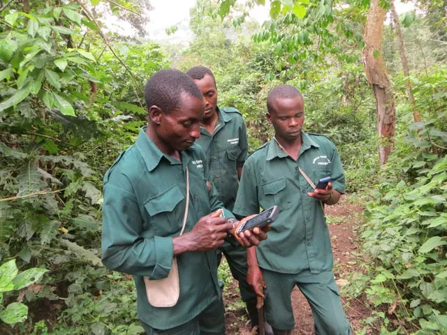 Rangers in Ngogo