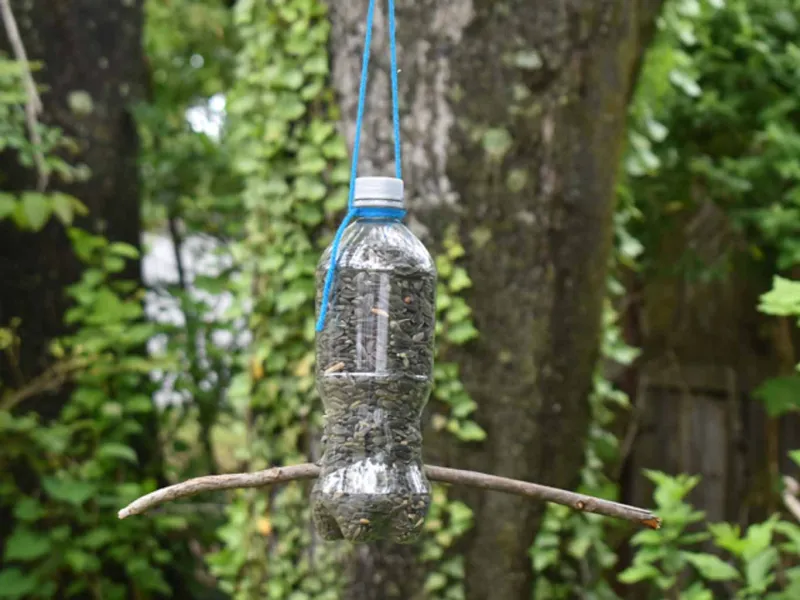 Bird feeder craft