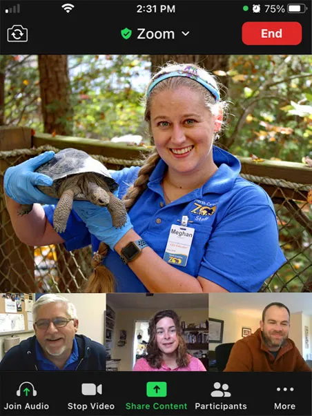 Animal encounter during Zoom meeting