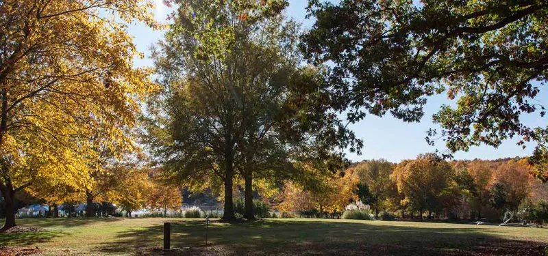 Oak Hill picnic area with fall colors at North Carolina Zoo.