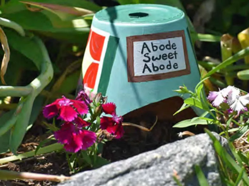 Toad abode craft