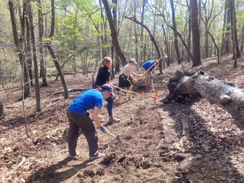 Horticulture staff working in the woods